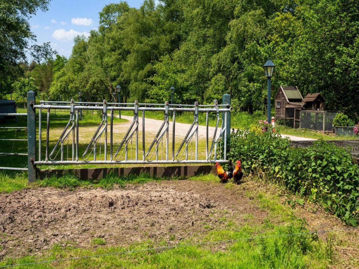 A Lovely Cottage On The Dwingelderveld Nature Park Beilen Esterno foto