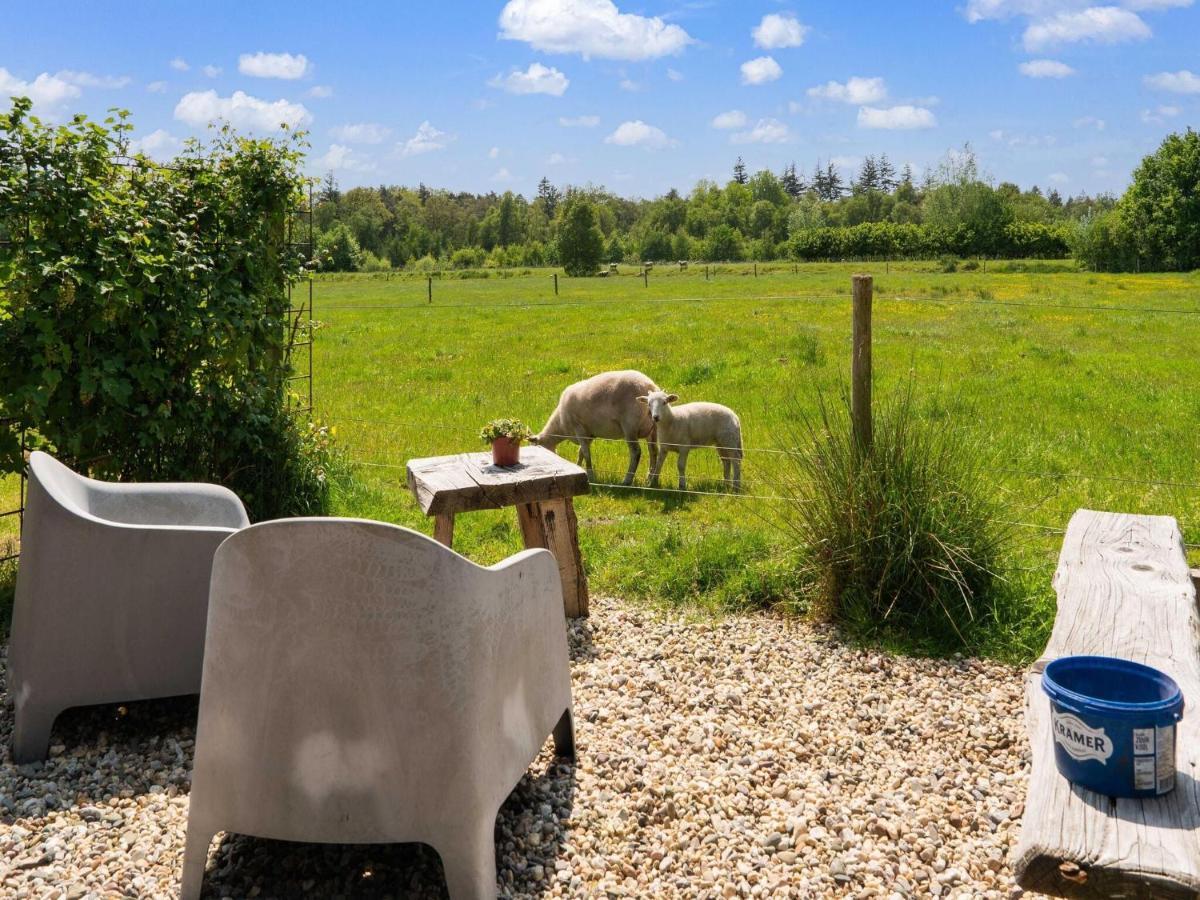 A Lovely Cottage On The Dwingelderveld Nature Park Beilen Esterno foto